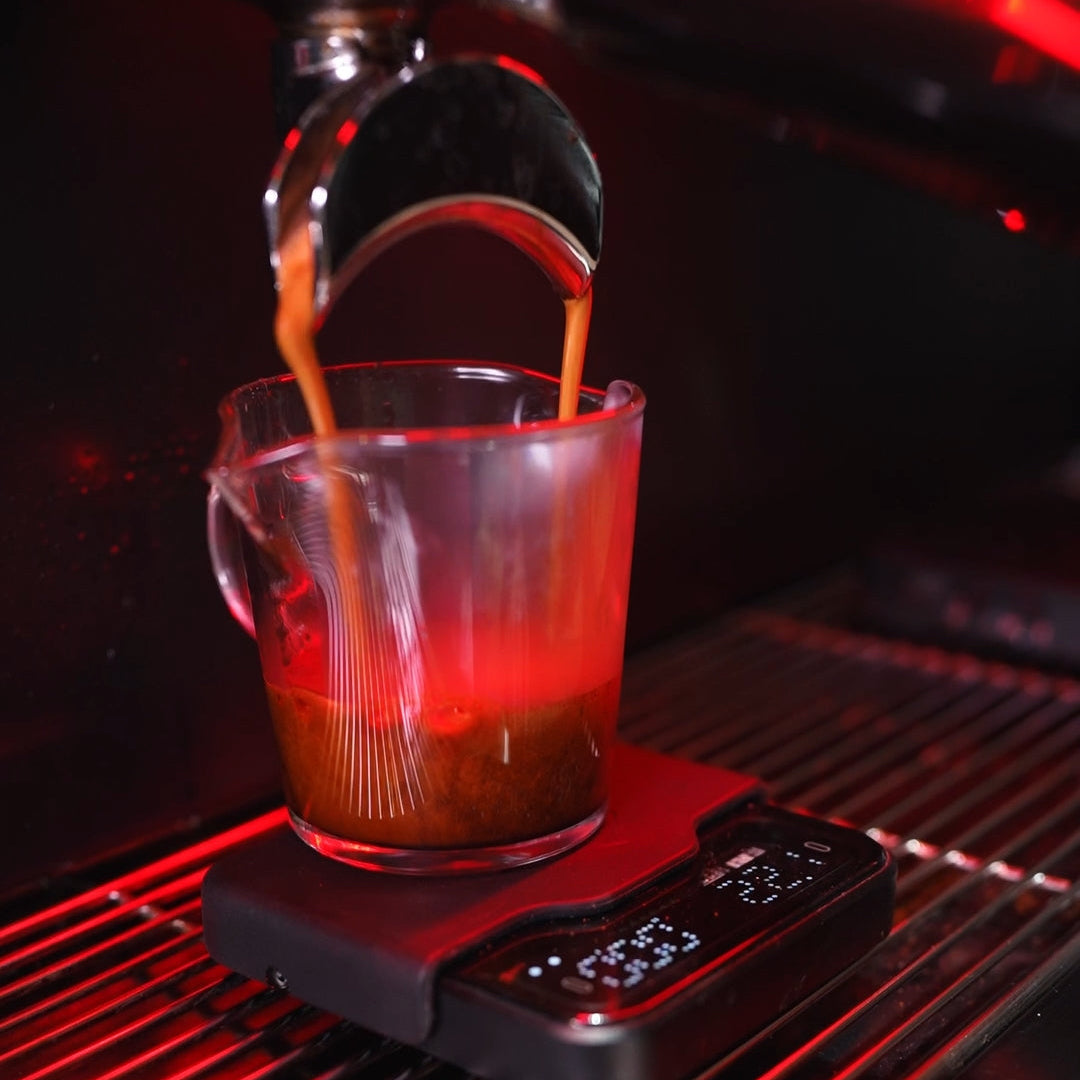 Espresso: Brazil Bom Dia