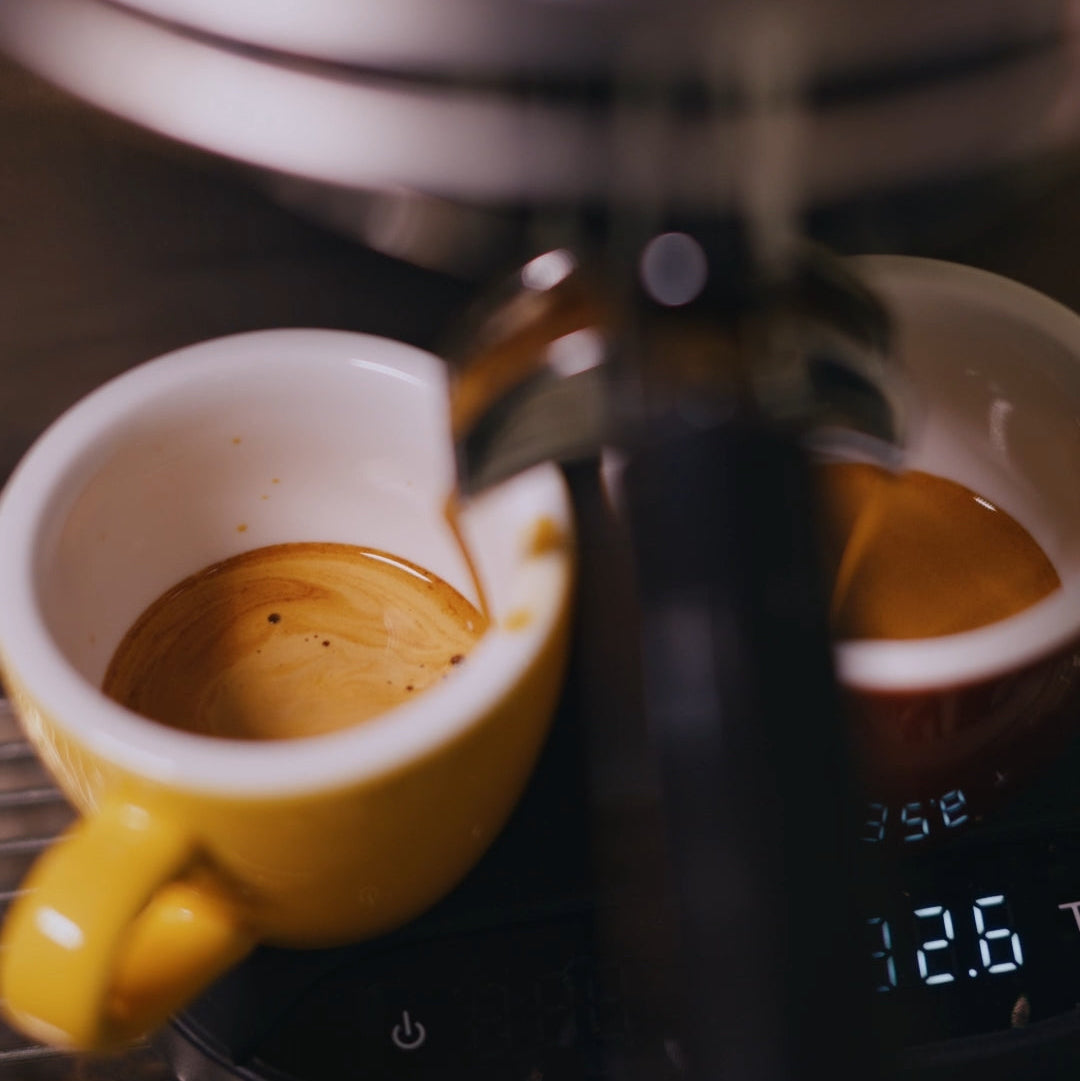 Espresso: Brazil Bom Dia